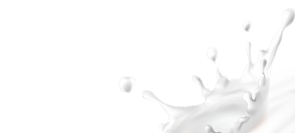 milk academy dondurma